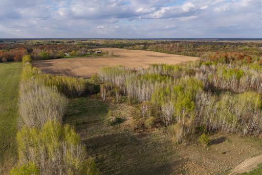 TBD-38AC 465th Street, Harris, MN 55032