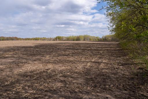 TBD-38AC 465th Street, Harris, MN 55032