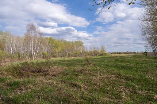 TBD-38AC 465th Street, Harris, MN 55032