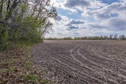 TBD-38AC 465th Street, Harris, MN 55032