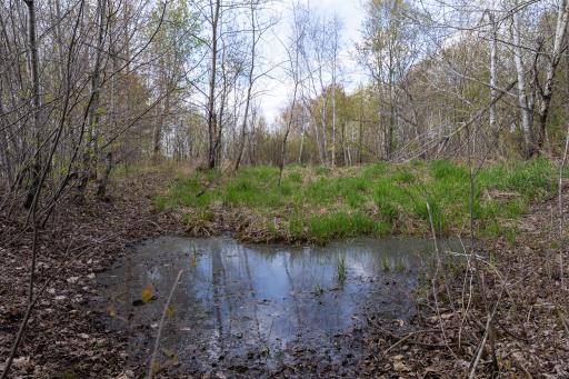 TBD-38AC 465th Street, Harris, MN 55032