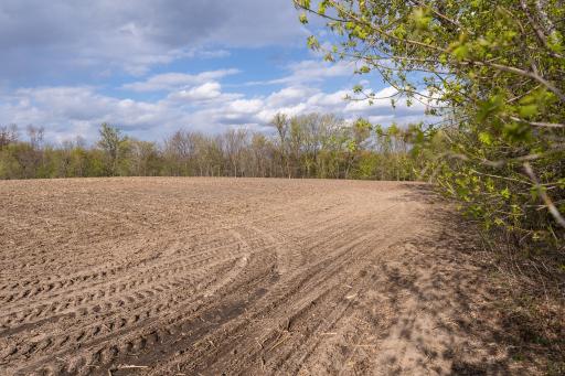 TBD-38AC 465th Street, Harris, MN 55032