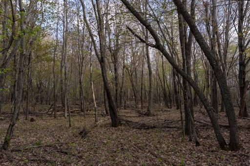 TBD-38AC 465th Street, Harris, MN 55032