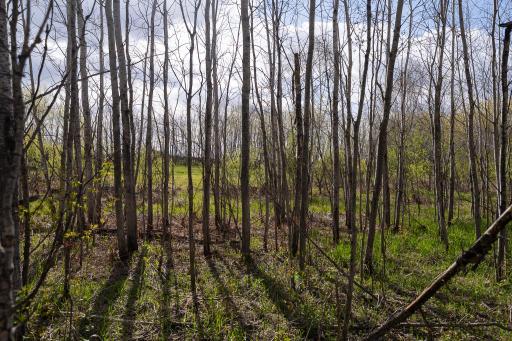TBD-38AC 465th Street, Harris, MN 55032