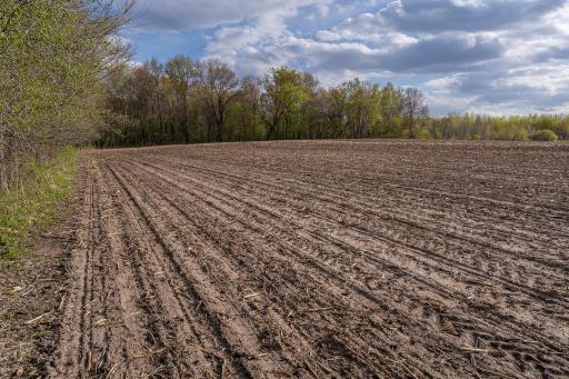 TBD-38AC 465th Street, Harris, MN 55032