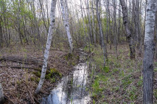 TBD-38AC 465th Street, Harris, MN 55032