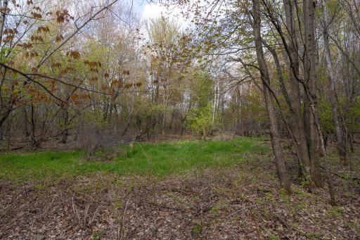 TBD-38AC 465th Street, Harris, MN 55032