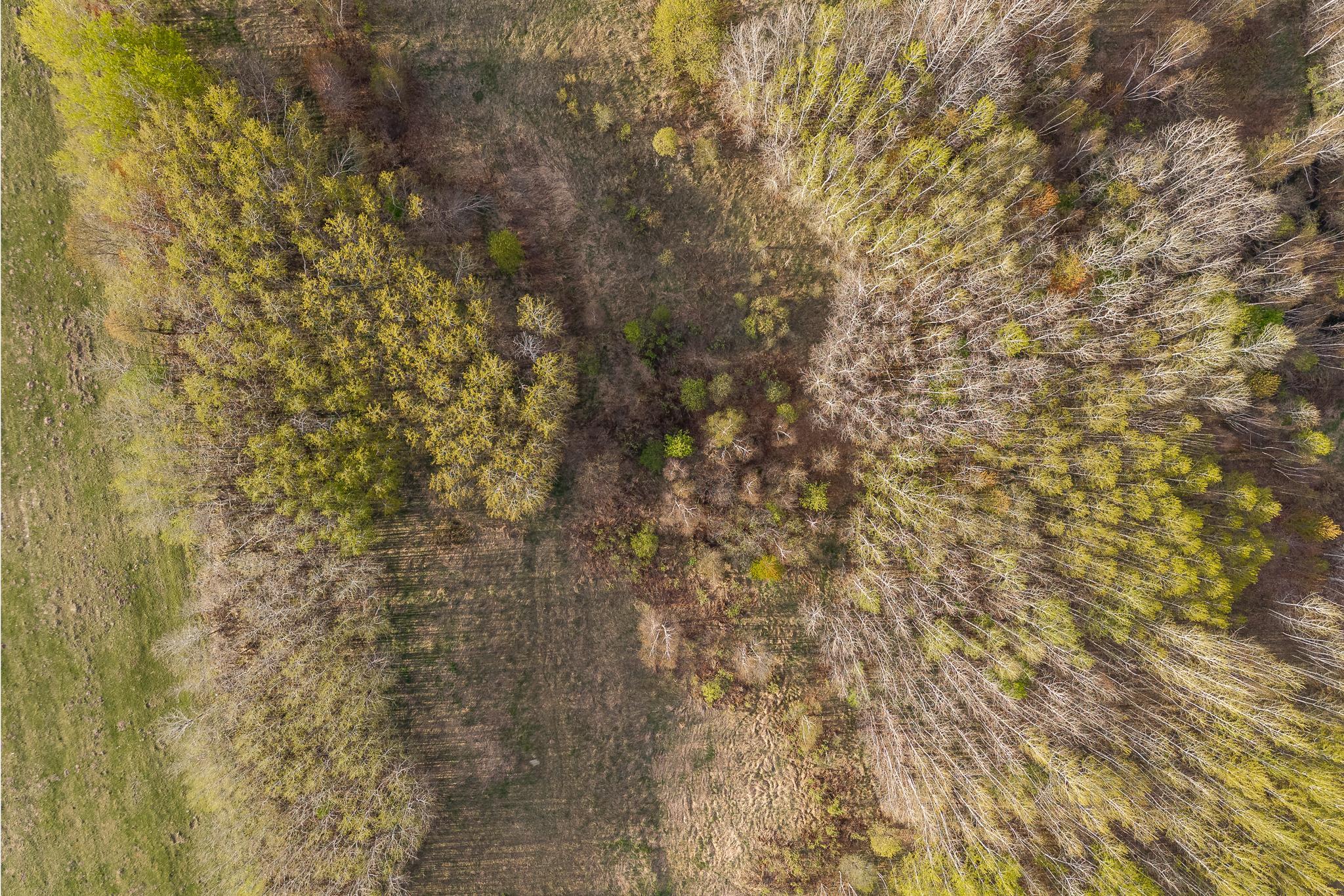 DJI_20260507184008_0168_D-HDR.jpg