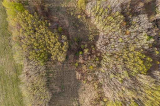 TBD-38AC 465th Street, Harris, MN 55032
