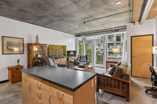 730 N 4th Street, 308, Minneapolis, MN 55401
