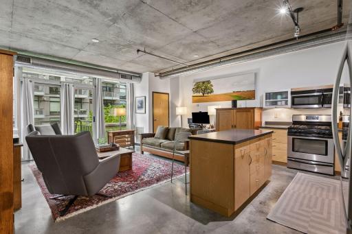 730 N 4th Street, 308, Minneapolis, MN 55401