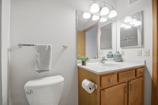 1906 Oak Tree Lane, D, Austin, MN 55912