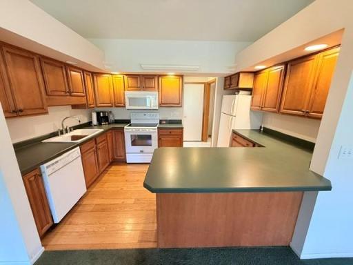 514 Scenic Shore Lane SW, Bemidji, MN 56601