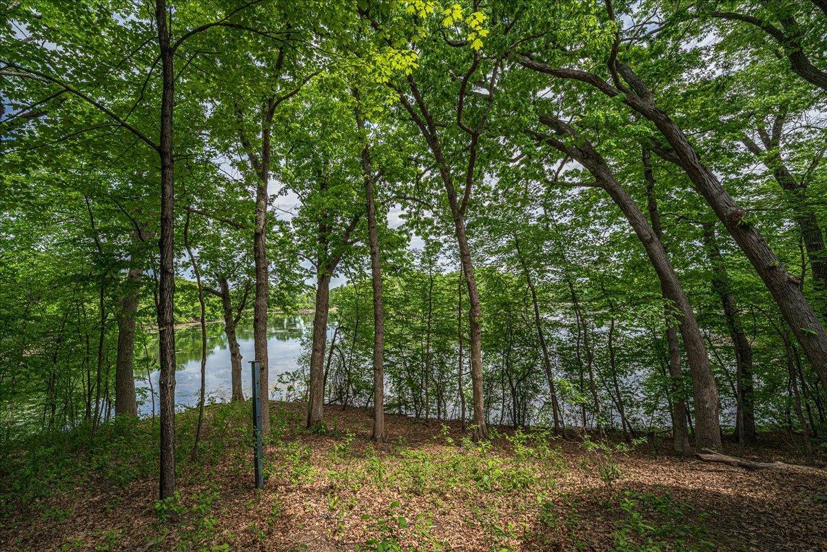 62-Backyard.jpg