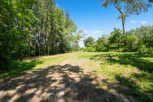 50 Cty Hwy 16 - Front Yard.jpg