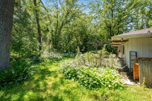 50 Cty Hwy 16 - Backyard.jpg