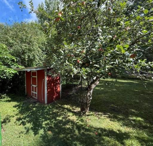 Chicken coop with electricity and water nearby (and your own apple tree)!