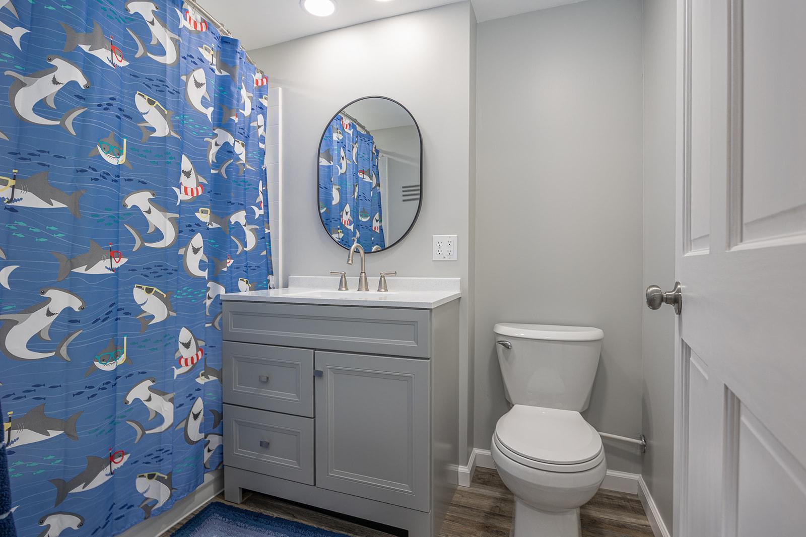 Lower level bathroom