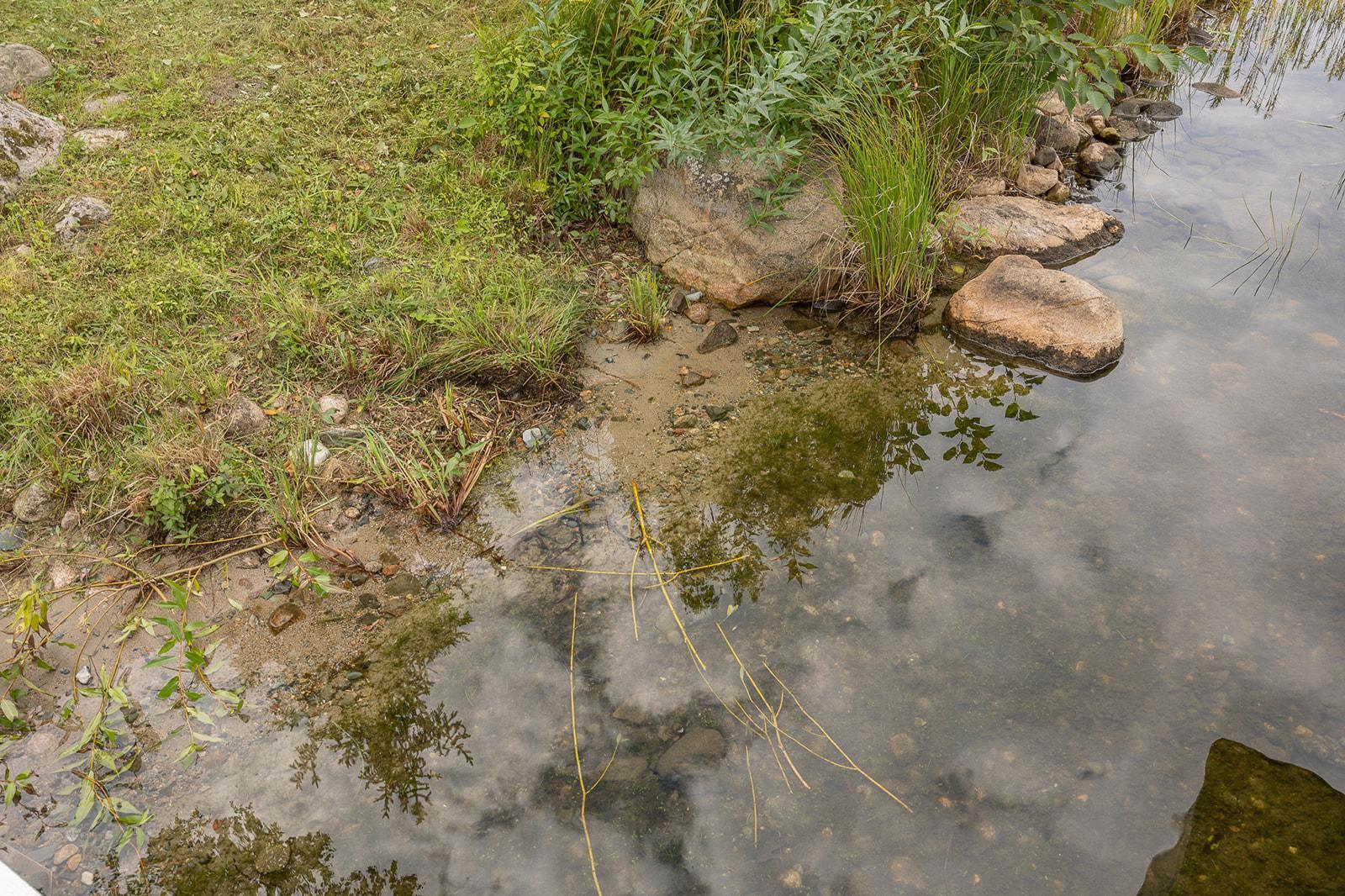 Rock/sand/weed shoreline