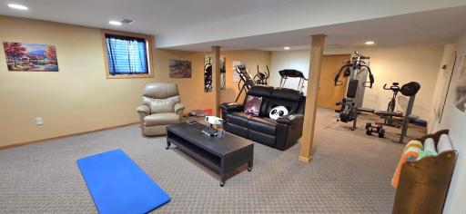 Lower level family room