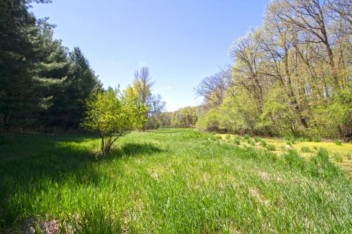 TBD Nueman Trail, Lindstrom, MN 55045