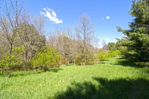 TBD Nueman Trail, Lindstrom, MN 55045