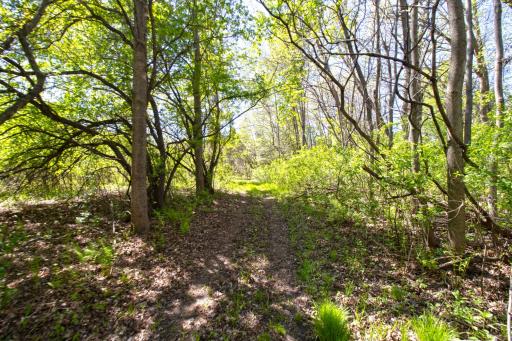 TBD Northland Trail, Lindstrom, MN 55045