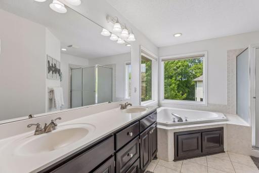 9009 Zanzibar Lane N, Maple Grove, MN 55311