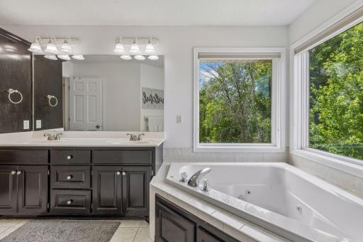 9009 Zanzibar Lane N, Maple Grove, MN 55311