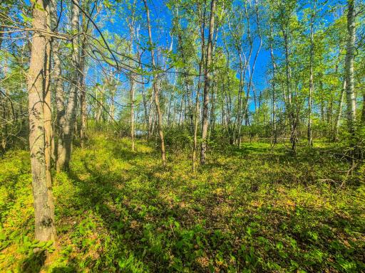TBD Heather Trail, Nevis, MN 56467