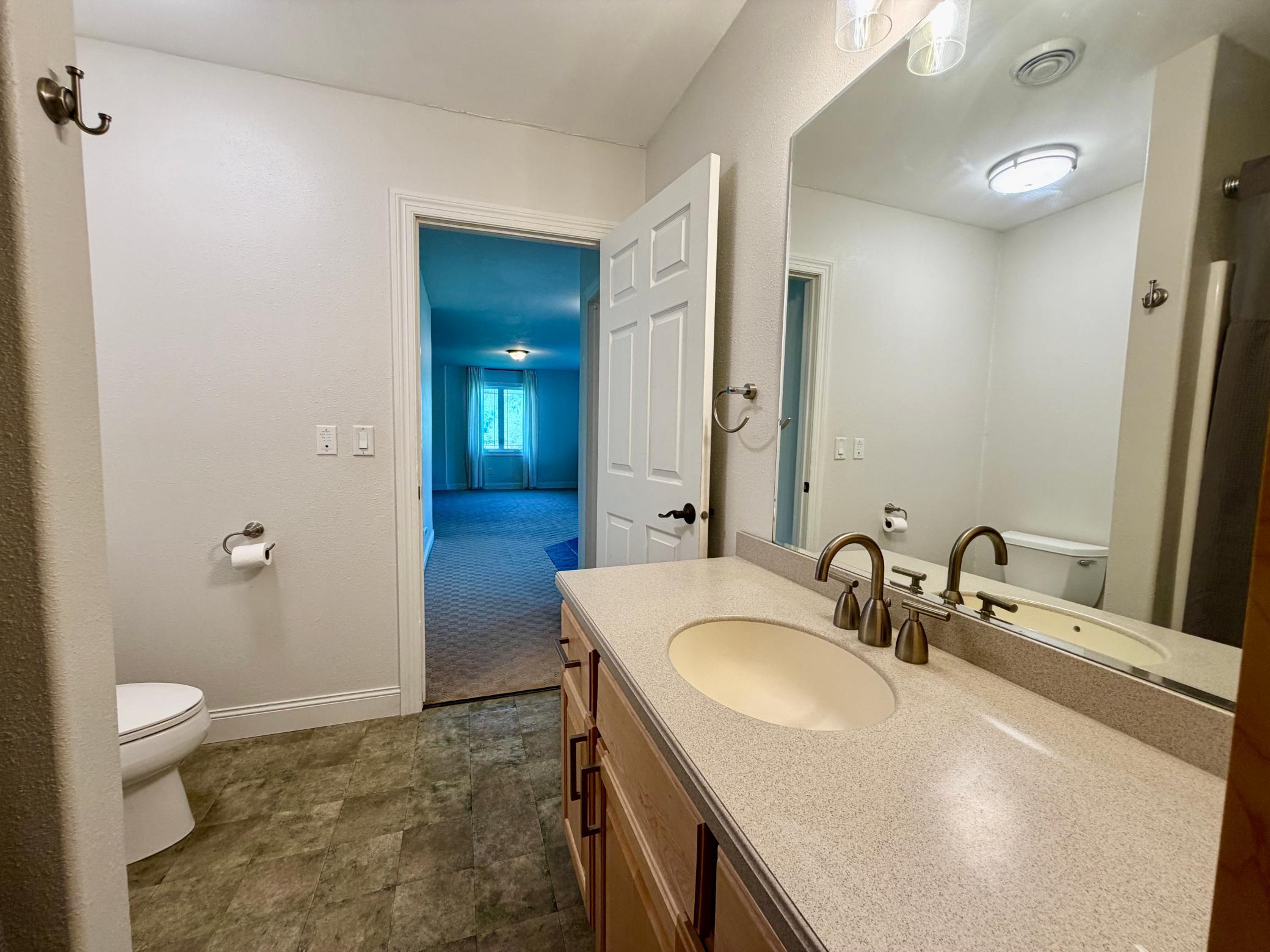 basement bathroom