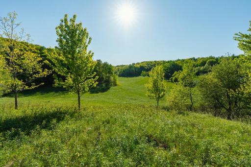 E3555 1120th Avenue, Boyceville, WI 54725