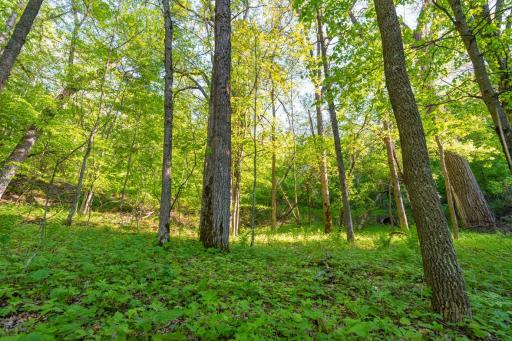 E3555 1120th Avenue, Boyceville, WI 54725