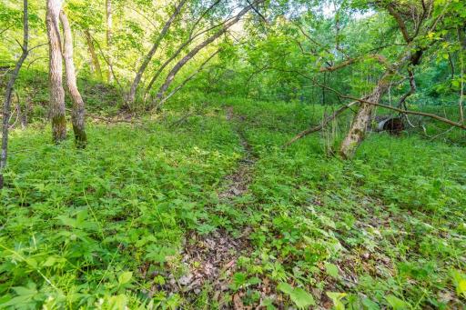 E3555 1120th Avenue, Boyceville, WI 54725