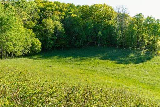 E3555 1120th Avenue, Boyceville, WI 54725