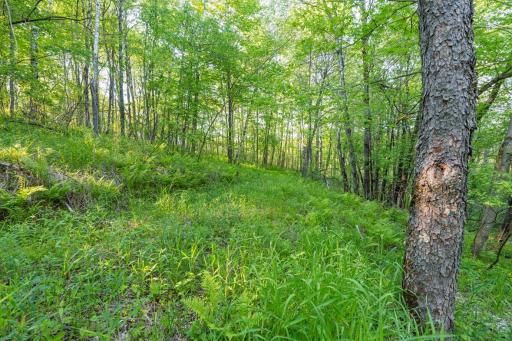 E3555 1120th Avenue, Boyceville, WI 54725