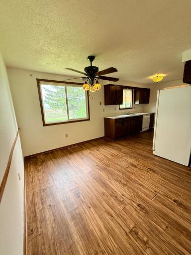 207 N Main Street, Saint Leo, MN 56264