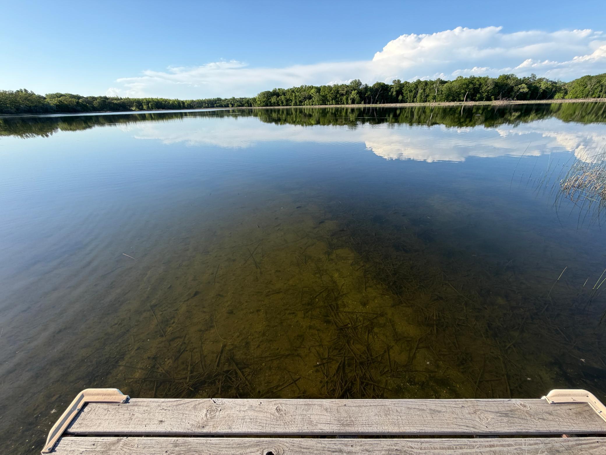 lake bottom
