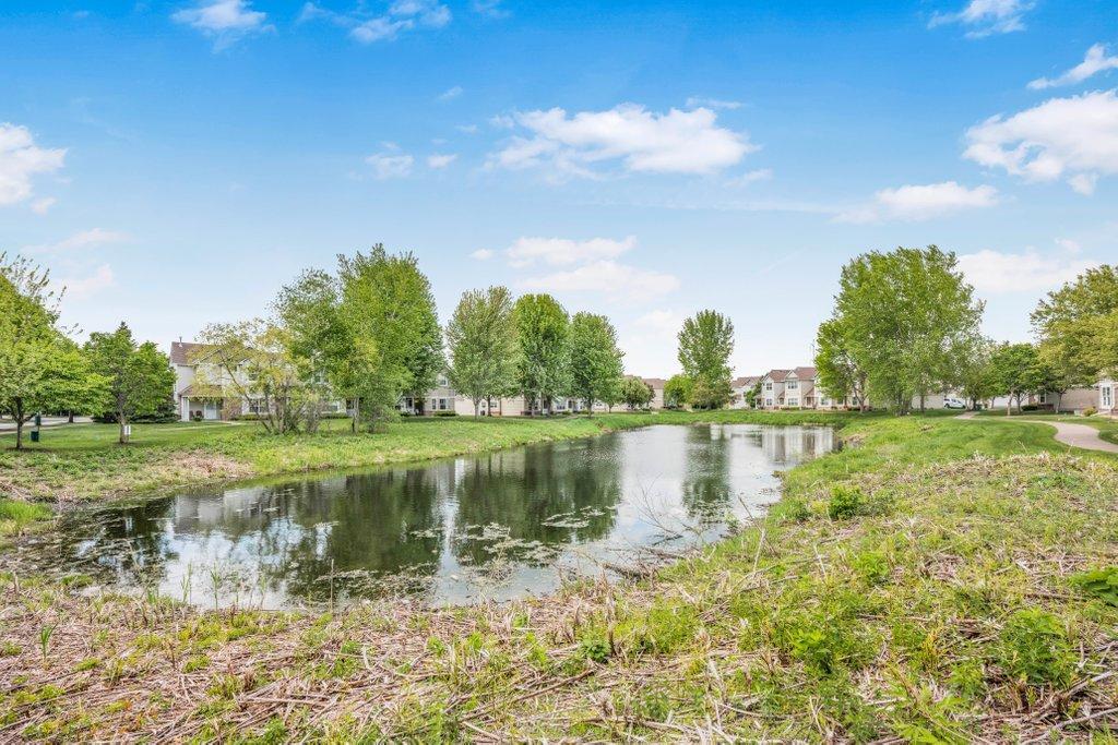 View Of Pond From Front Yard