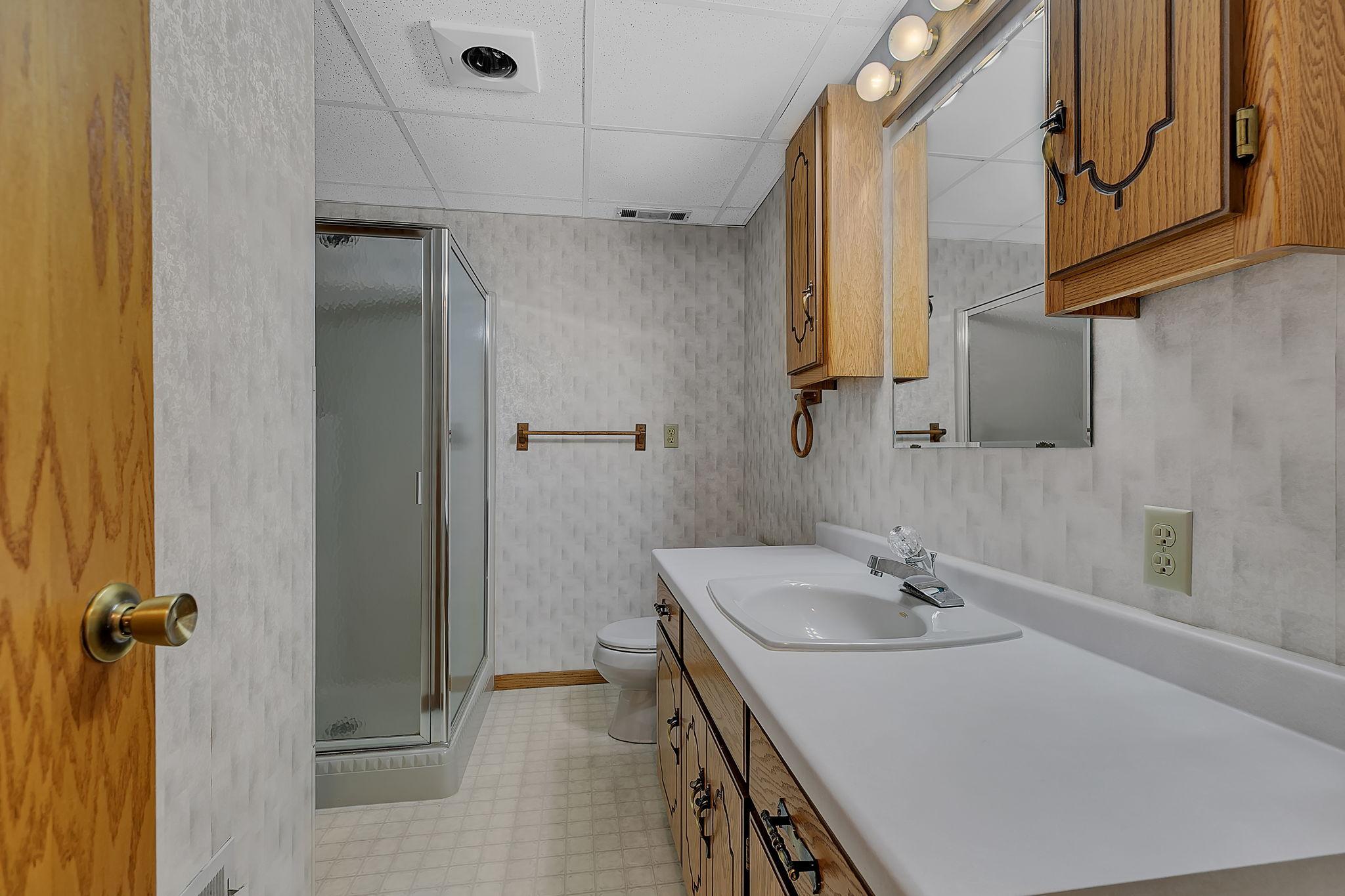 Lower Level Bathroom