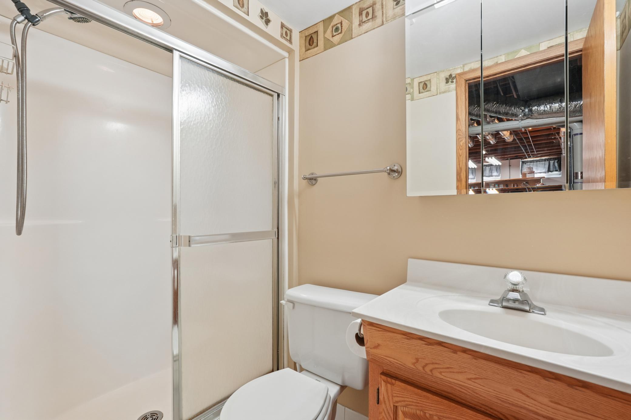 Lower Level Bathroom