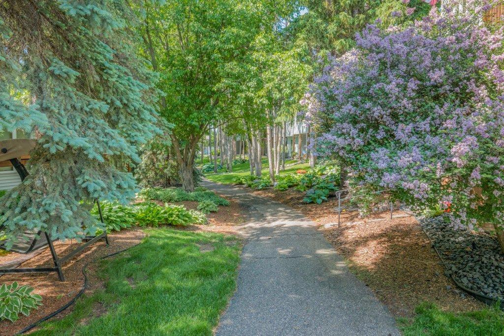 Path to the park and river