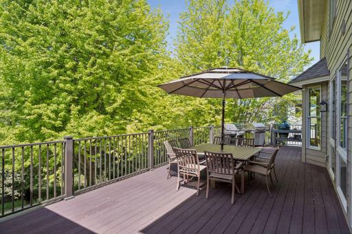 1981 Topaz Drive, Chanhassen, MN 55317