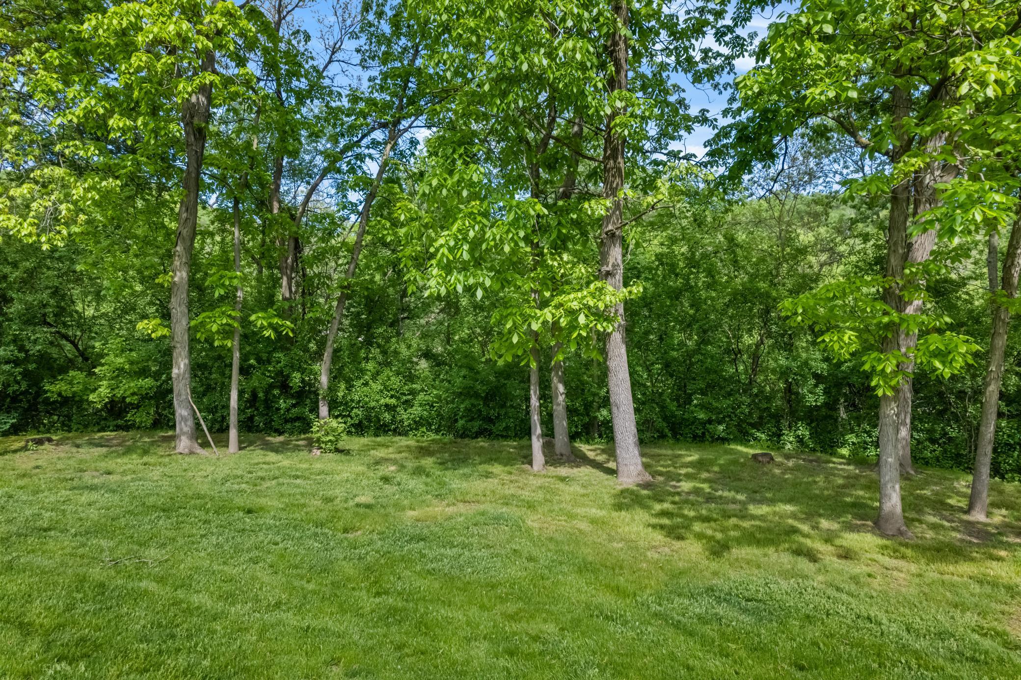 36 yard.jpg