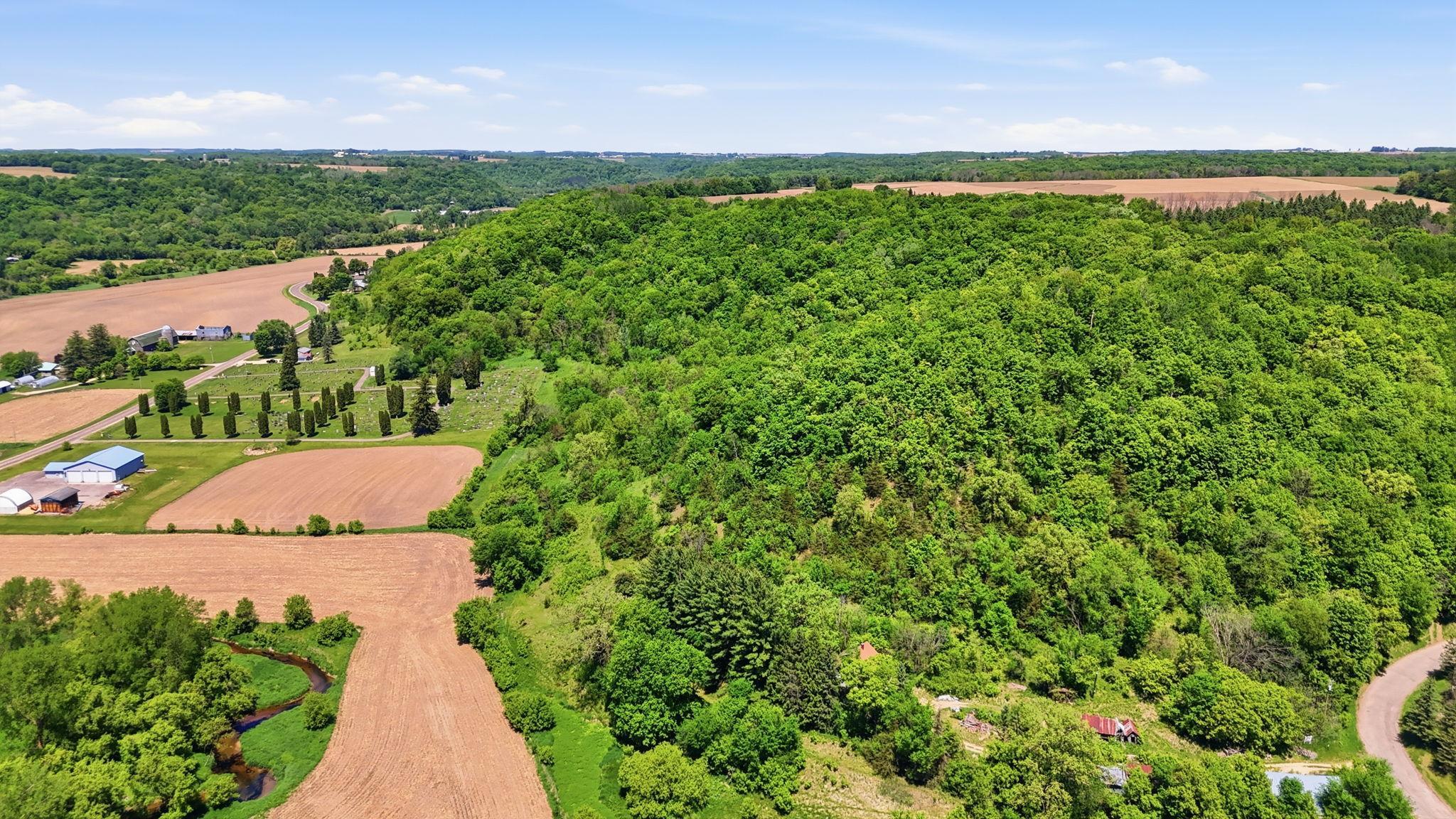 Wooded Hillside