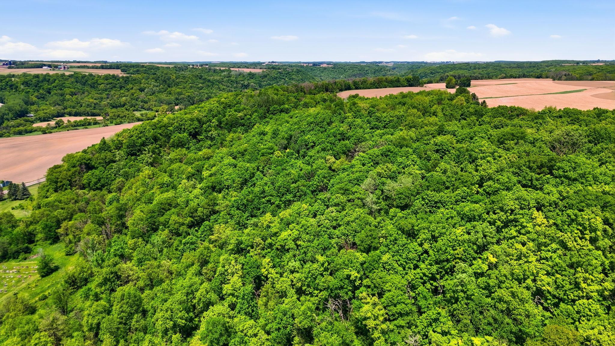 Additional 31 acres of adjoining woods available