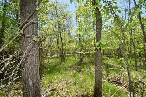 Lot 10 Fremsted Road, Danbury, WI 54830