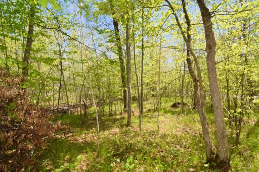 Lot 10 Fremsted Road, Danbury, WI 54830