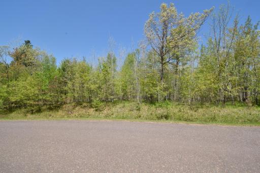 Lot 10 Fremsted Road, Danbury, WI 54830