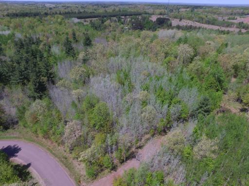 Lot 10 Fremsted Road, Danbury, WI 54830